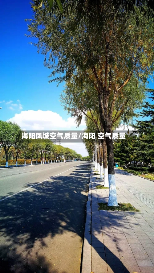 海阳凤城空气质量/海阳 空气质量-第2张图片