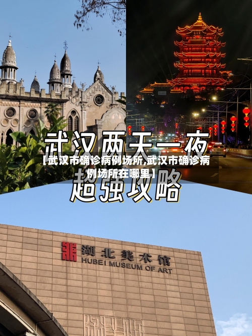 【武汉市确诊病例场所,武汉市确诊病例场所在哪里】-第2张图片