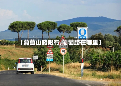 【葡萄山路限行,葡萄路在哪里】