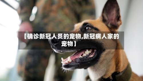 【确诊新冠人员的宠物,新冠病人家的宠物】