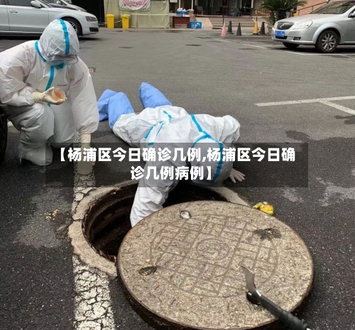 【杨浦区今日确诊几例,杨浦区今日确诊几例病例】