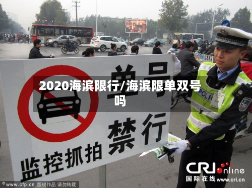 2020海滨限行/海滨限单双号吗-第3张图片