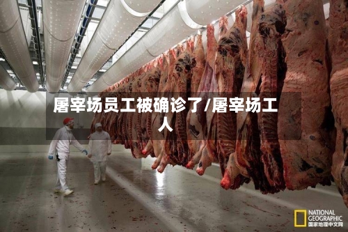 屠宰场员工被确诊了/屠宰场工人-第3张图片