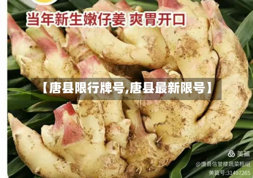 【唐县限行牌号,唐县最新限号】-第3张图片