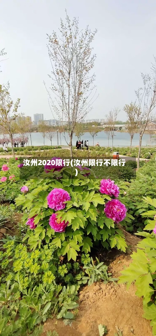 汝州2020限行(汝州限行不限行)