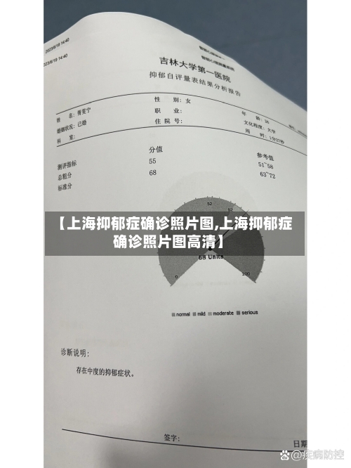 【上海抑郁症确诊照片图,上海抑郁症确诊照片图高清】