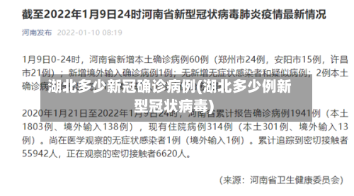 湖北多少新冠确诊病例(湖北多少例新型冠状病毒)