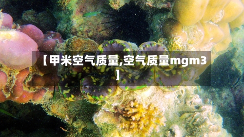 【甲米空气质量,空气质量mgm3】