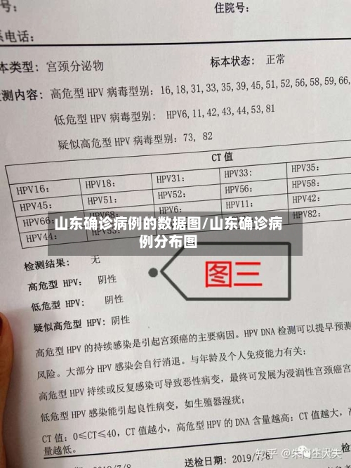 山东确诊病例的数据图/山东确诊病例分布图