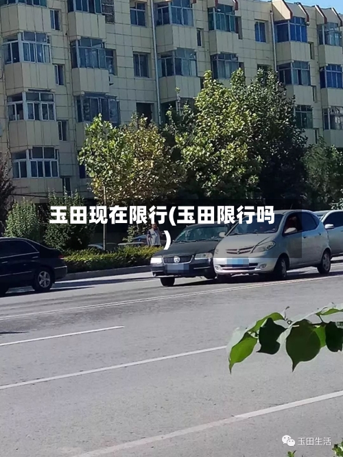玉田现在限行(玉田限行吗)-第3张图片