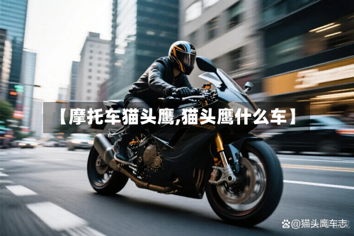 【摩托车猫头鹰,猫头鹰什么车】