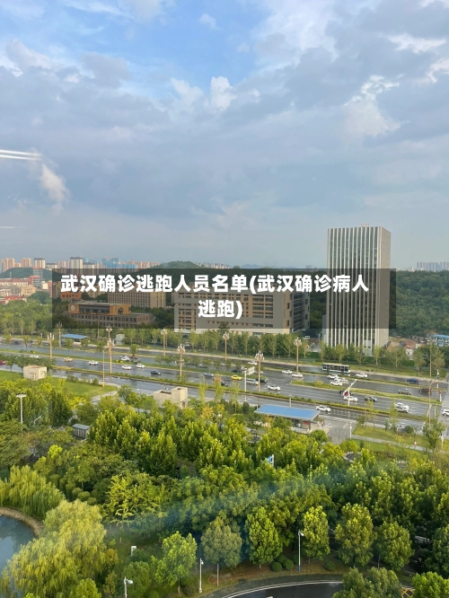 武汉确诊逃跑人员名单(武汉确诊病人逃跑)-第2张图片