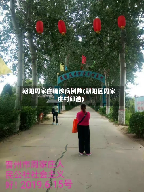 朝阳周家庄确诊病例数(朝阳区周家庄村邱浩)-第2张图片