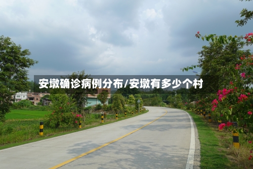 安墩确诊病例分布/安墩有多少个村