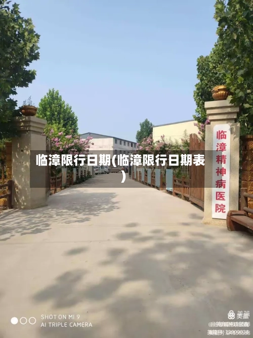临漳限行日期(临漳限行日期表)