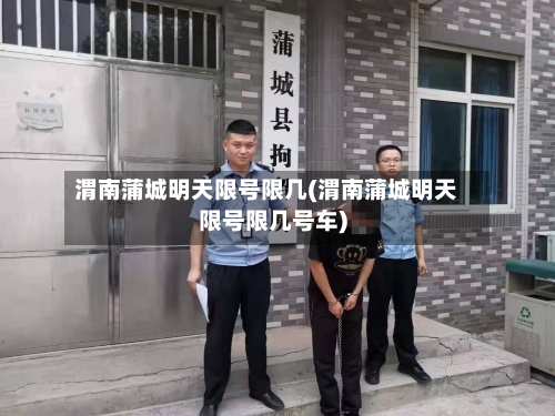 渭南蒲城明天限号限几(渭南蒲城明天限号限几号车)-第3张图片