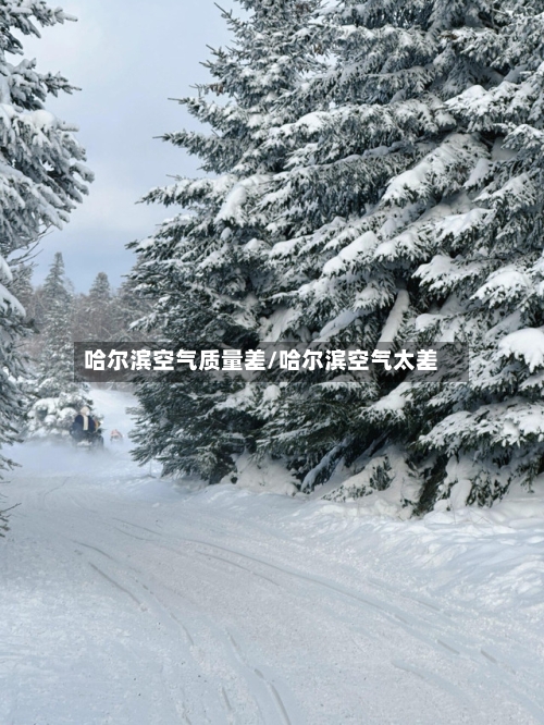 哈尔滨空气质量差/哈尔滨空气太差