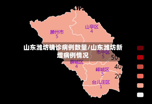 山东潍坊确诊病例数量/山东潍坊新增病例情况-第2张图片