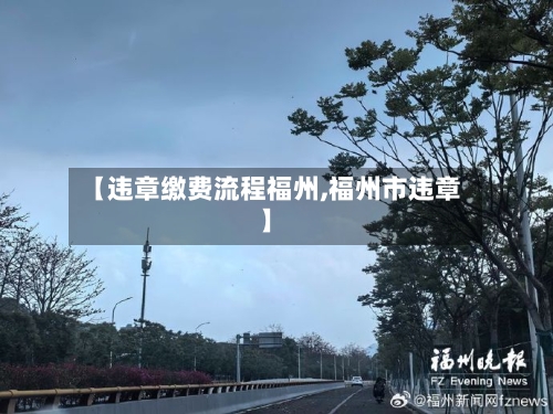 【违章缴费流程福州,福州市违章】-第3张图片