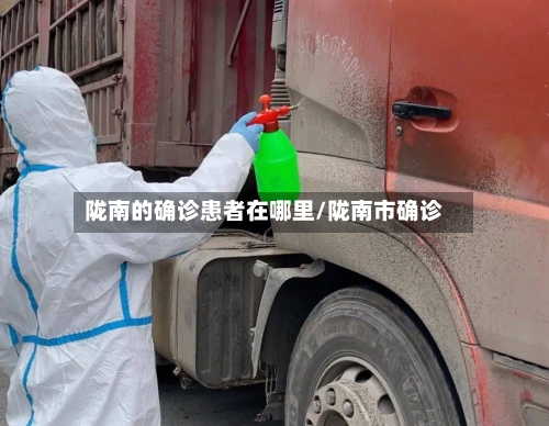 陇南的确诊患者在哪里/陇南市确诊