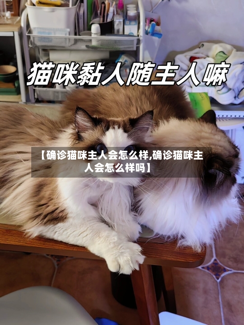 【确诊猫咪主人会怎么样,确诊猫咪主人会怎么样吗】-第3张图片
