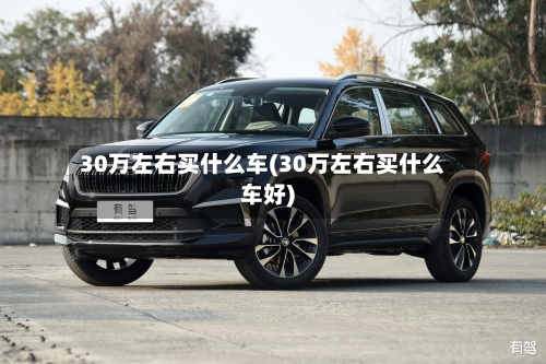 30万左右买什么车(30万左右买什么车好)