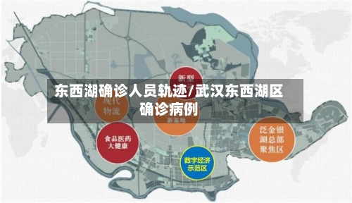 东西湖确诊人员轨迹/武汉东西湖区确诊病例