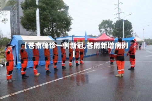 【苍南确诊一例新冠,苍南新增病例】-第3张图片
