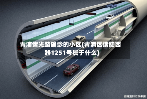 青浦诸光路确诊的小区(青浦区诸陆西路1251号属于什么)